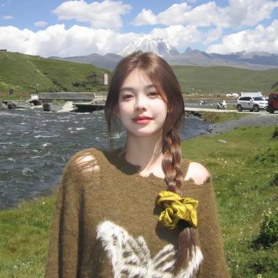 与鲨同泳